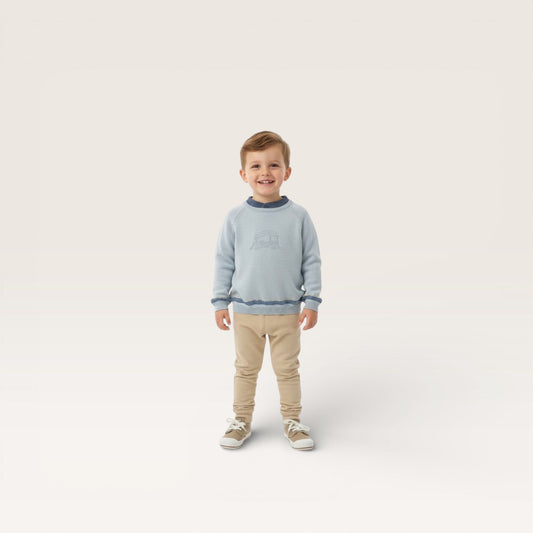 Train Crew Knit Sweater