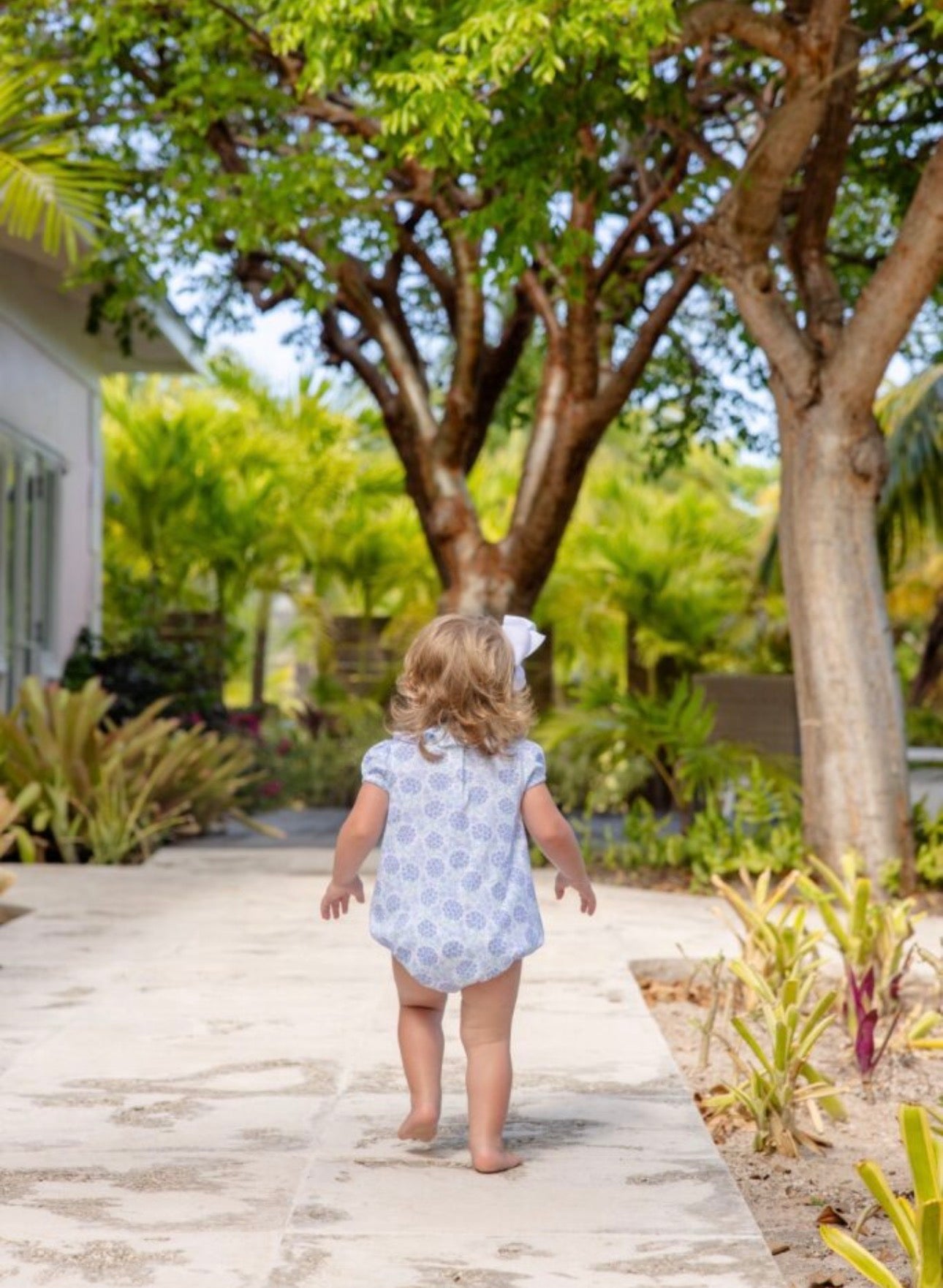 Ramona Ruffle Bubble-Handful of Hydrangeas