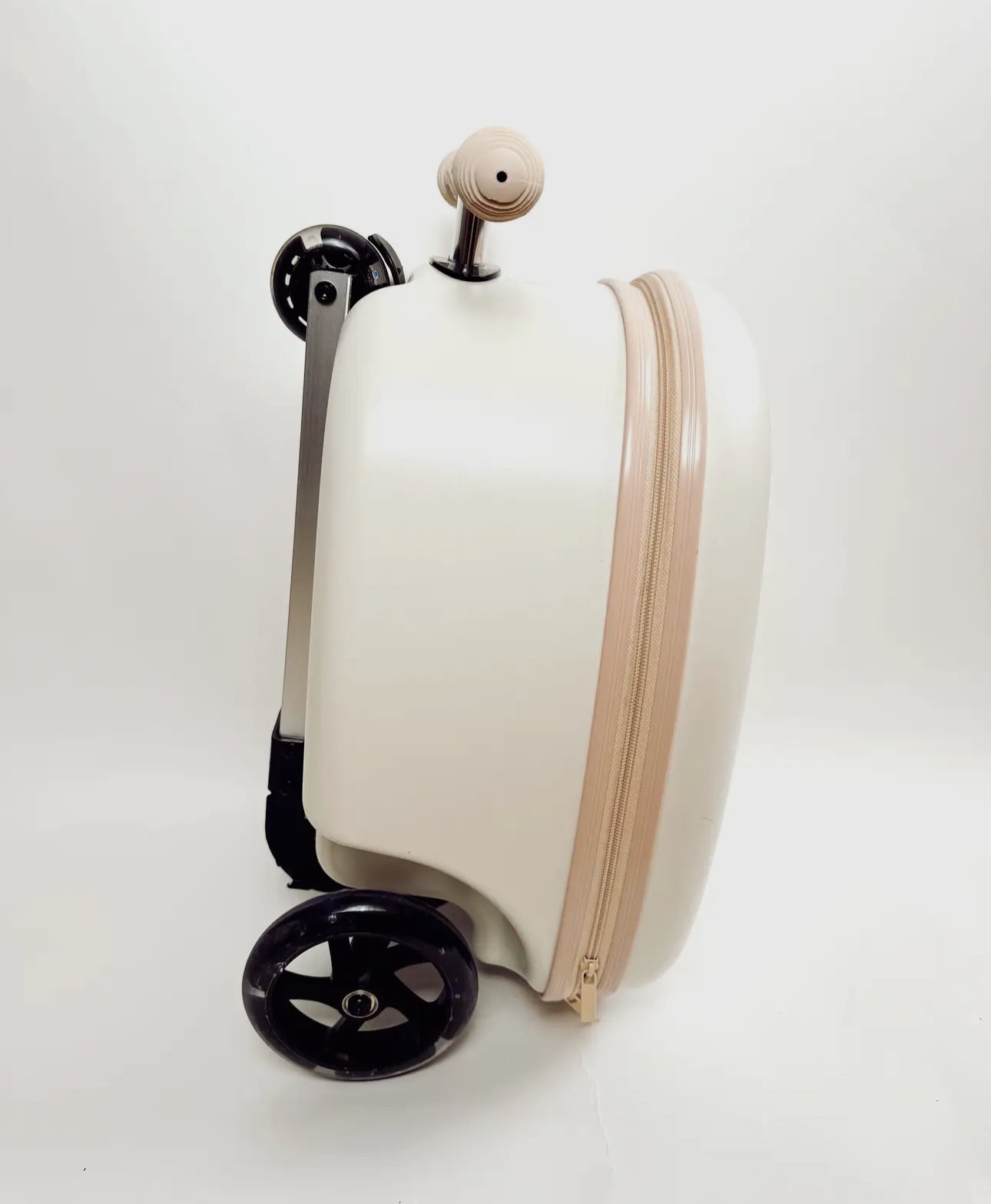 COAST CRUISER-SAND DOLLAR (BEIGE)