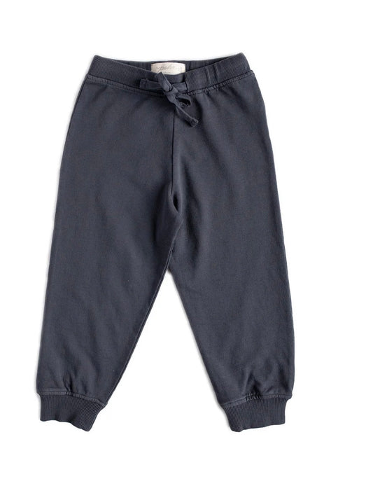 Pehr French terry jogger-ink blue