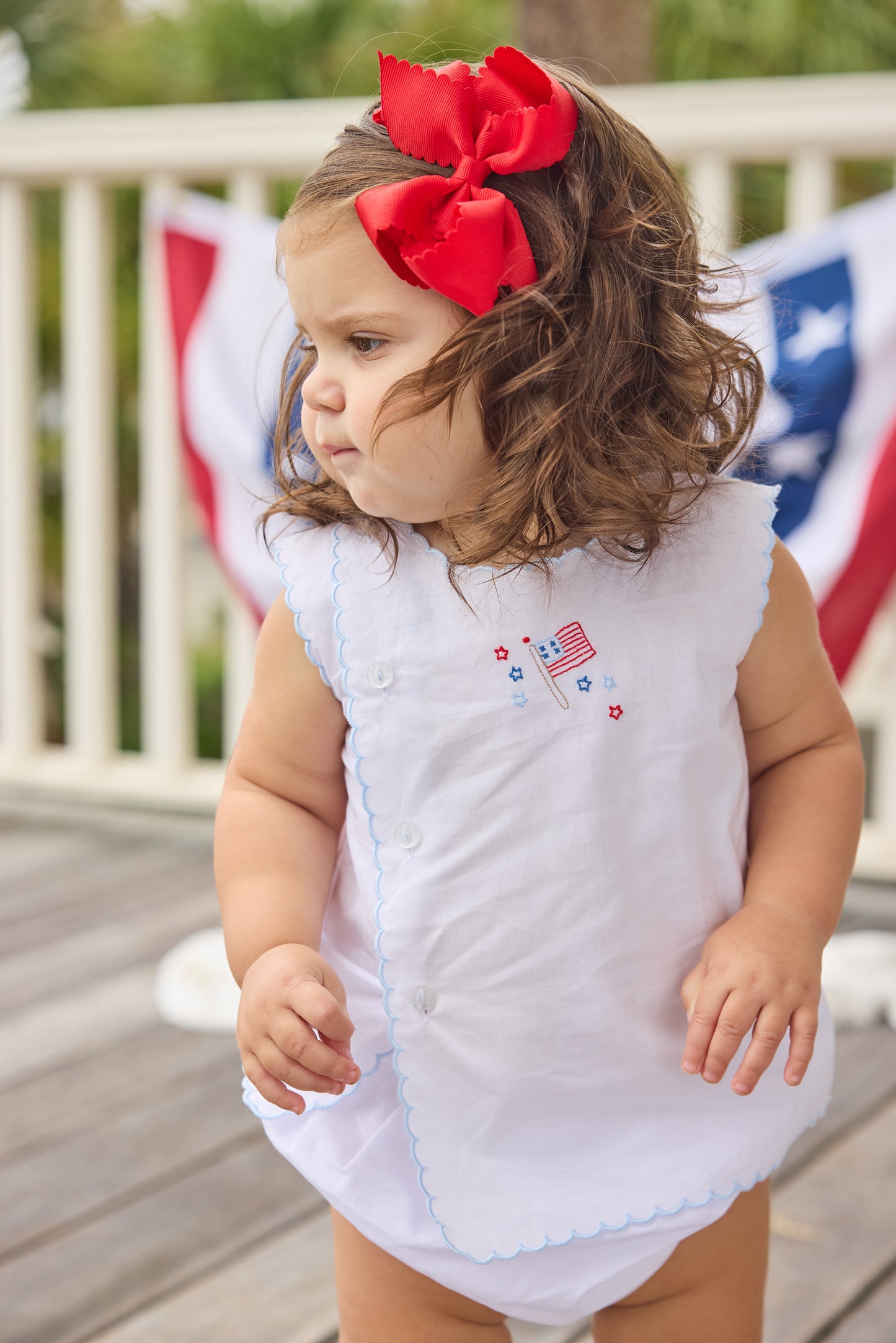 Davis Day Set - Flag