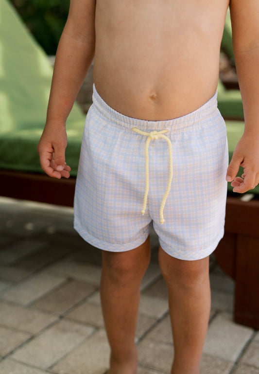 Barnes Bathing Suit - Cornflower Check