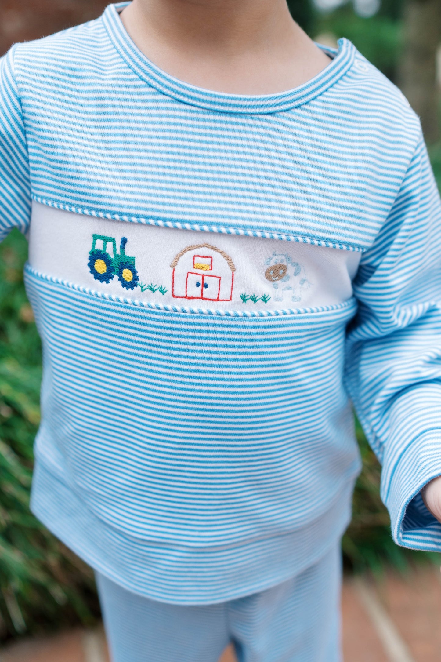Bayou Play Set-Light Blue Stripe Farm